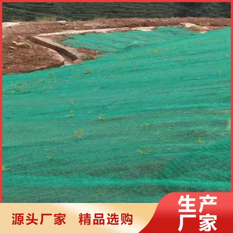 【三维植被网】_PP焊接土工格栅精品优选同城经销商