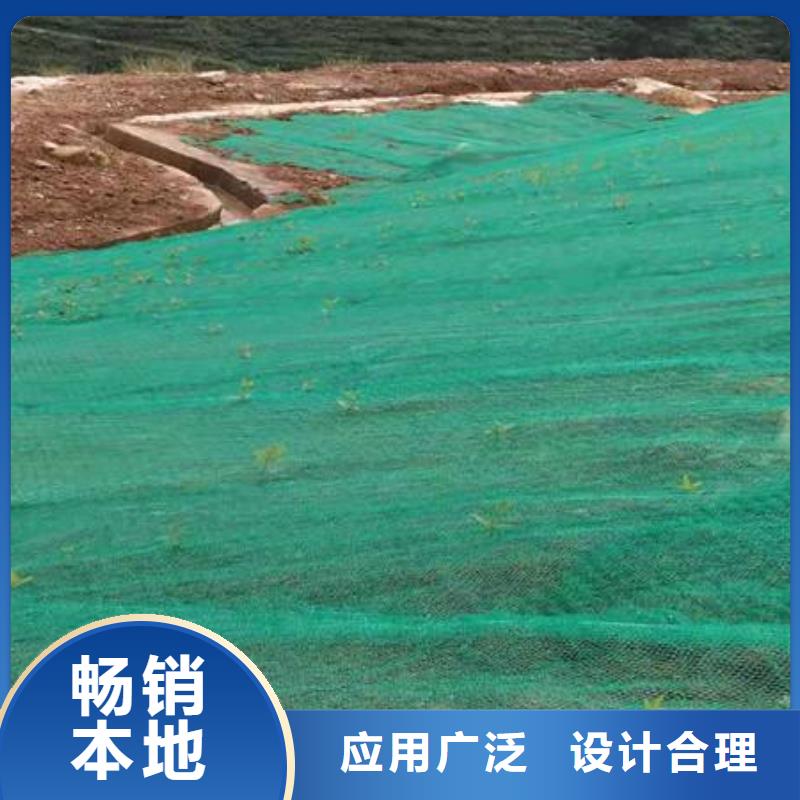 恒丰优选:真正让利给买家【三维植被网】_PP焊接土工格栅精品优选