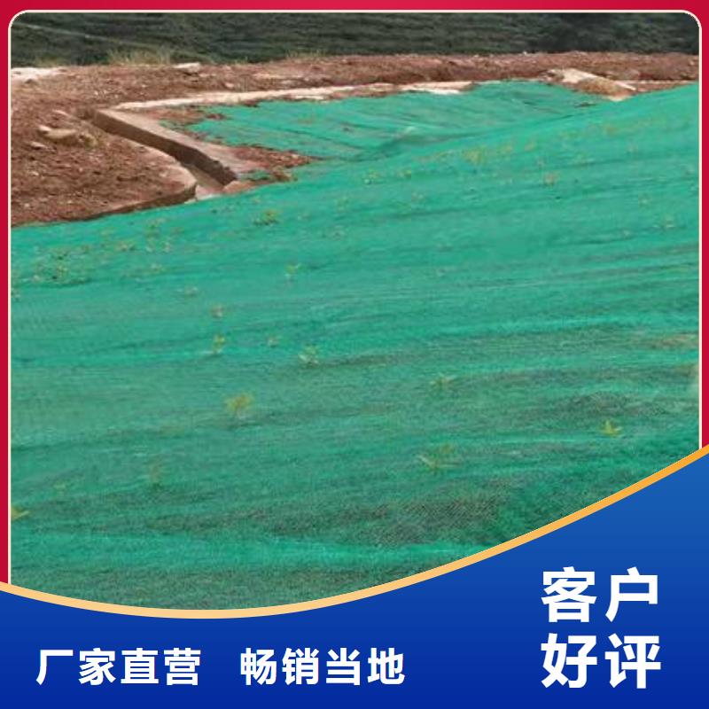 源头厂家经验丰富【三维植被网】 毛细排水板自有生产工厂