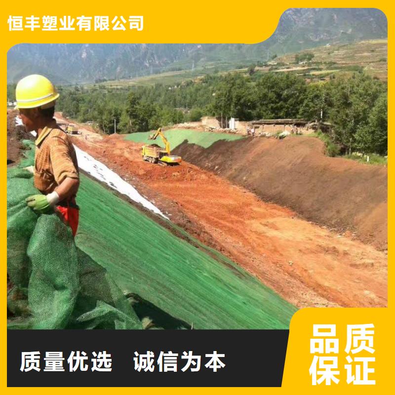 恒丰优选:真正让利给买家【三维植被网】_PP焊接土工格栅精品优选