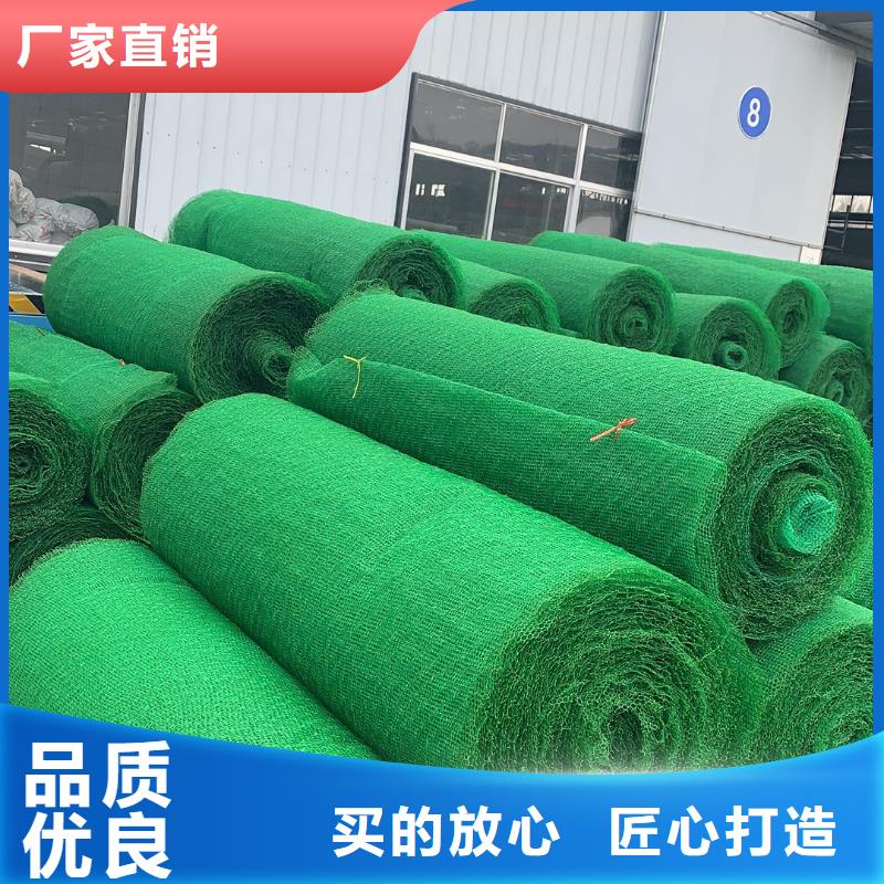 三维植被网【短丝土工布】实力厂家