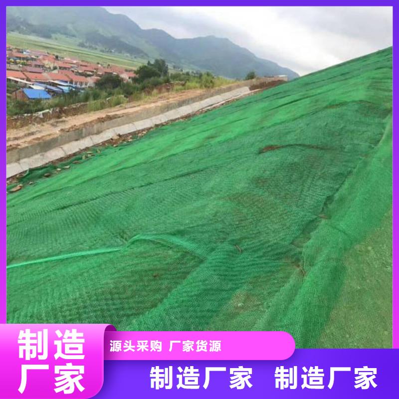 恒丰优选:真正让利给买家【三维植被网】_PP焊接土工格栅精品优选