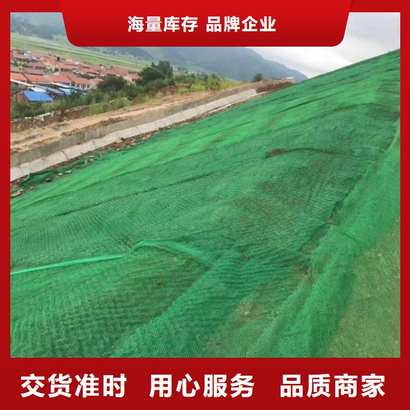 夷陵|宜都|武汉|荆州|鄂州|随州|孝感|荆门|恩施【 三维植被网-土工格室实力见证】经销商