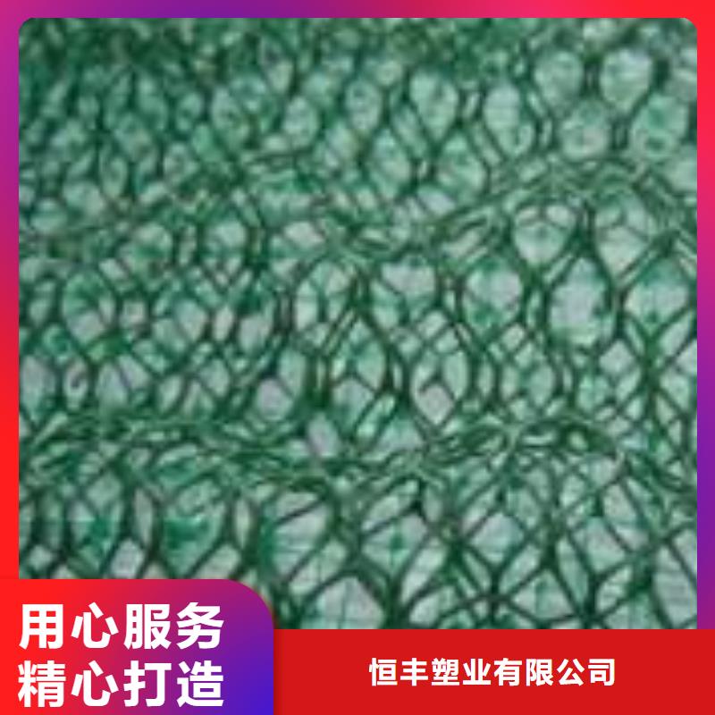 三维植被网【短丝土工布】实力厂家