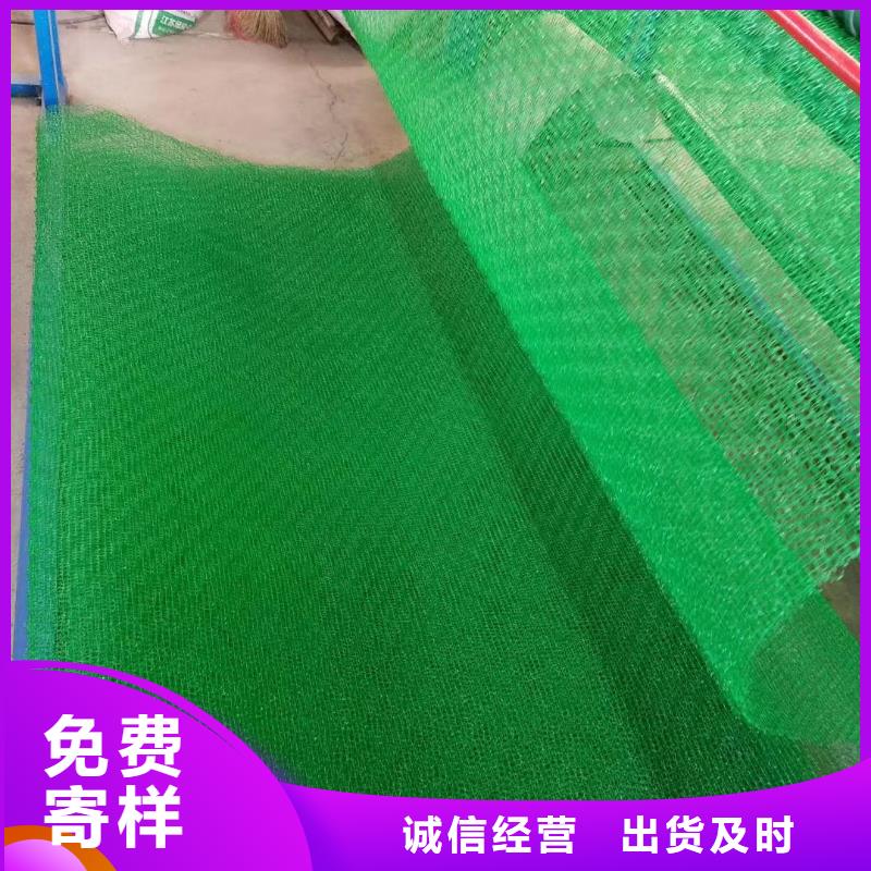 北京当地恒丰三维植被网土工格室让利客户