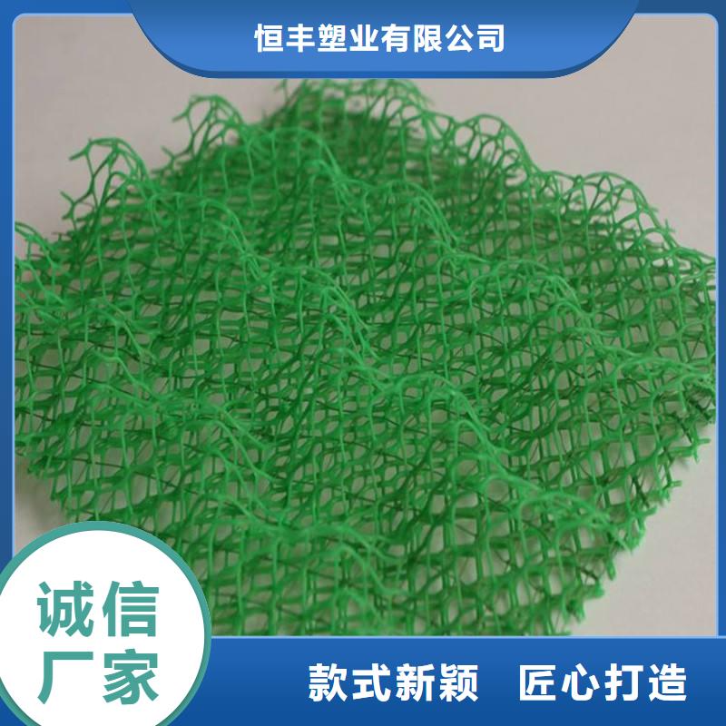 【【三维植被网三维复合排水网安装简单】】-【广东】定制<恒丰>
