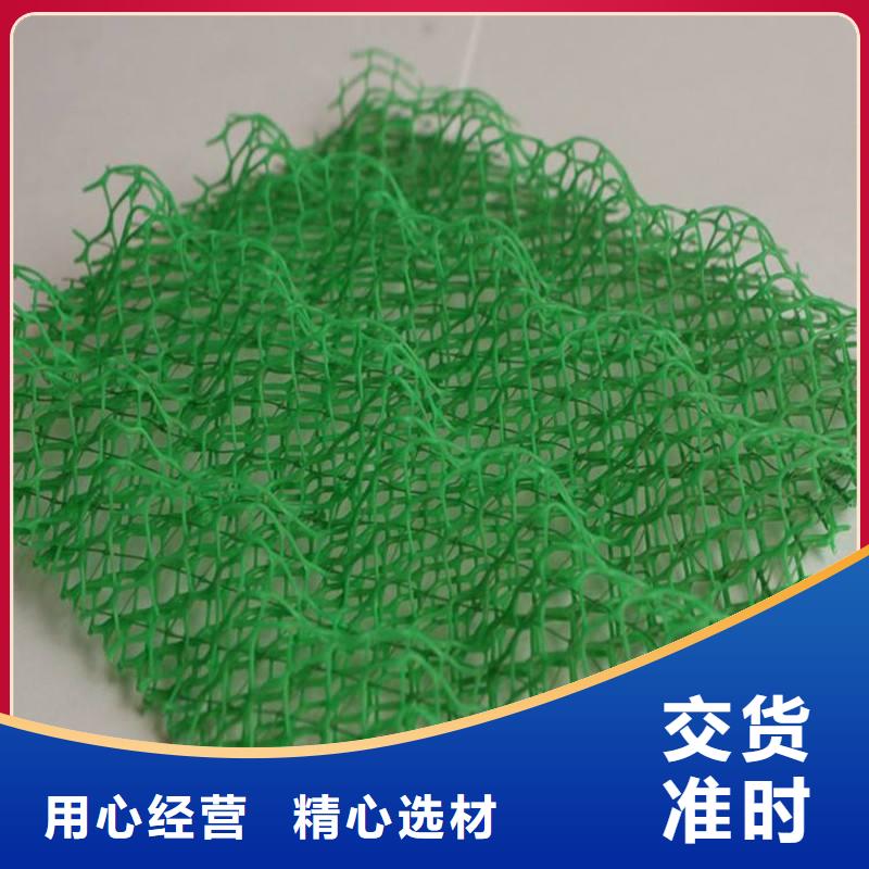 北京当地恒丰三维植被网土工格室让利客户