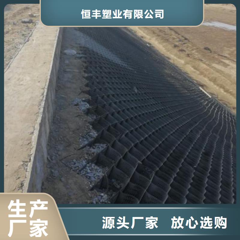 土工格室,【三维复合排水网】高质量高信誉-恒丰塑业(海南省分公司)