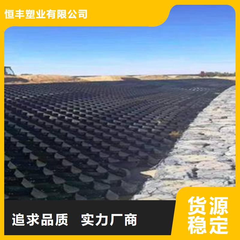 土工格室,【三维复合排水网】高质量高信誉-恒丰塑业(海南省分公司)