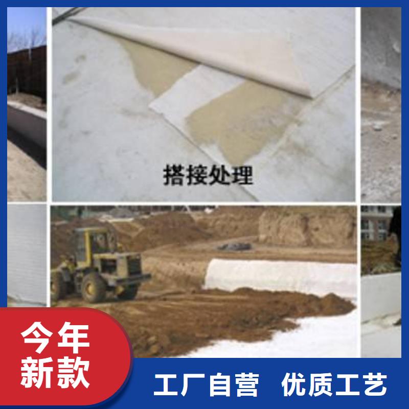 膨润土防水毯【三维植被网】实力公司-恒丰塑业(西双版纳市分公司)