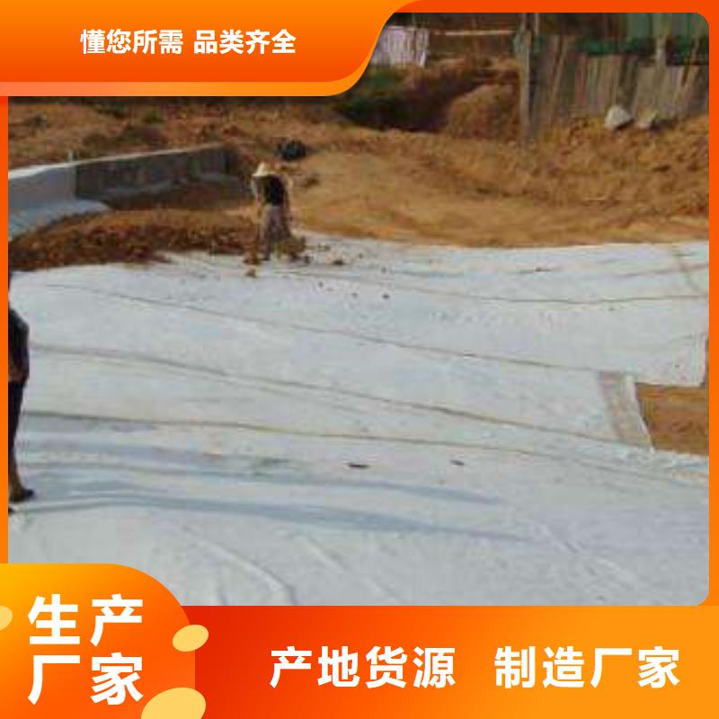 膨润土防水毯厂家直销