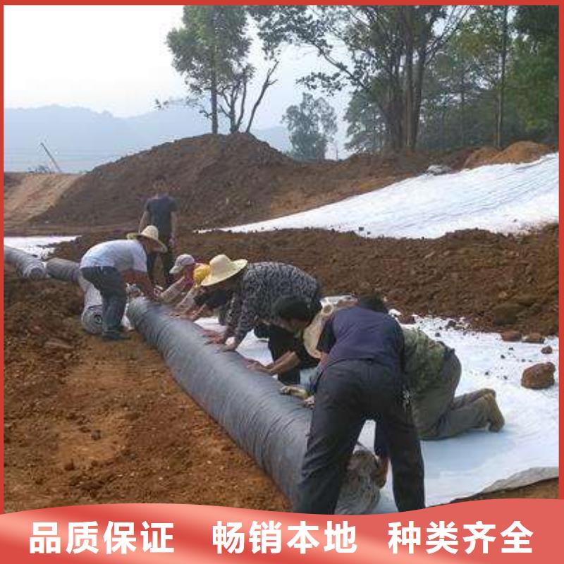 2024膨润土防水毯生产基地