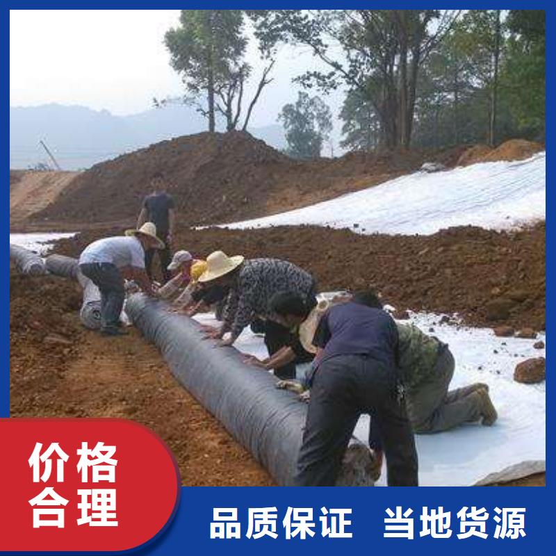 三沙市膨润土防水毯_质量好_提供膨润土防水毯_最新报价