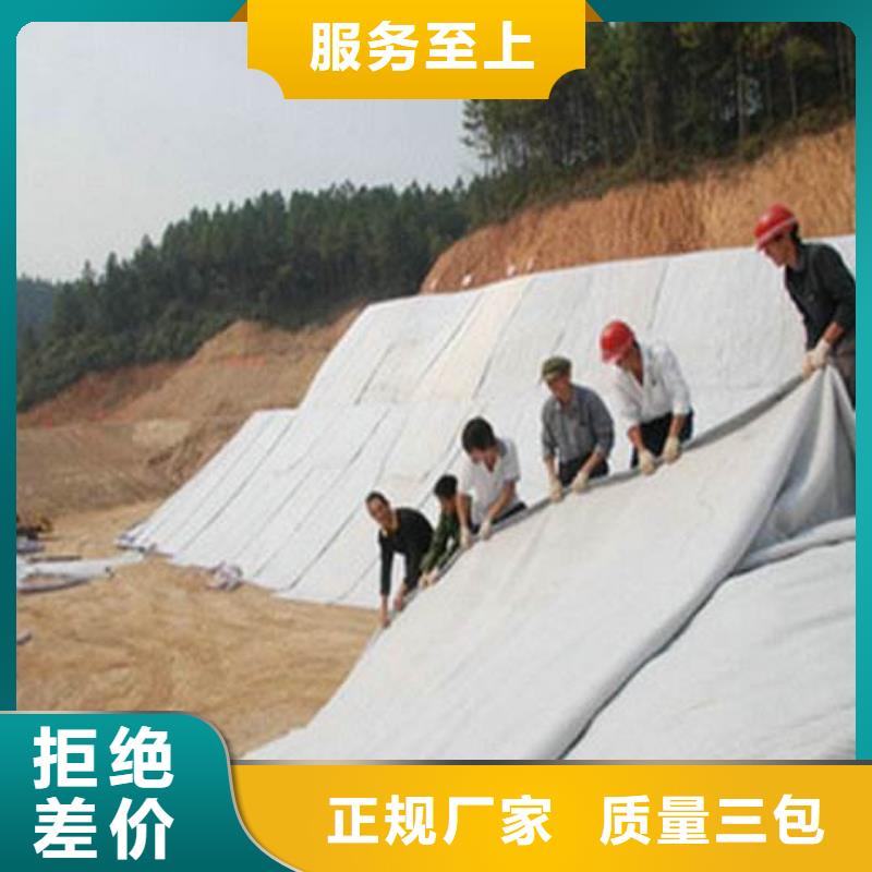 2025膨润土防水毯发现货-货源充足-生产基地