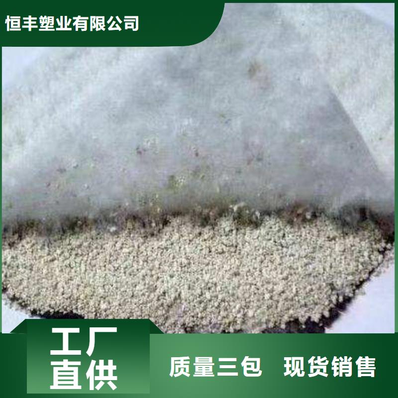 恒丰土工格室膨润土防水毯【三维植被网】实力公司qy55.com
