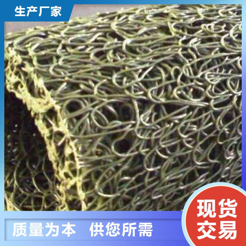 【 塑料盲沟三维复合排水网产地厂家直销】|通辽|锡林郭勒|鄂尔多斯|呼和浩特|呼伦贝尔|乌兰察布|阿拉善qy55.com