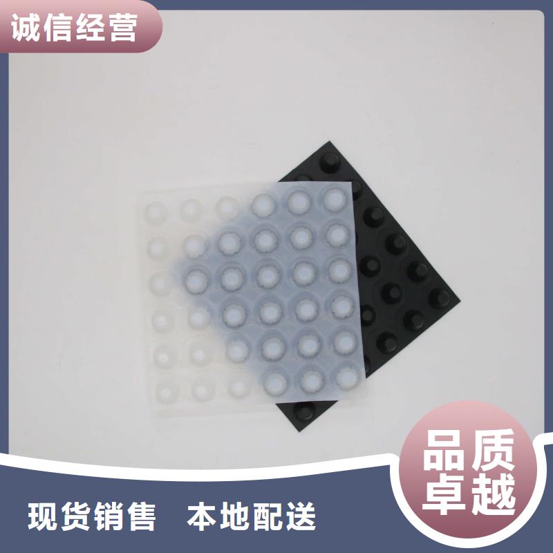 排水板土工格室专业品质
