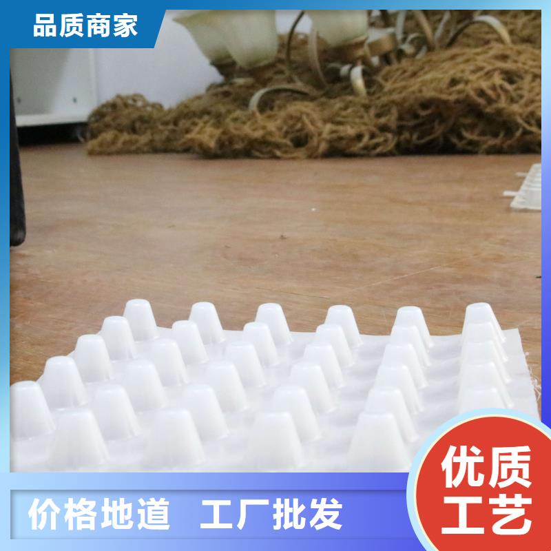 地下室排水板廠家_虹吸排水_多項市政工程施工經驗