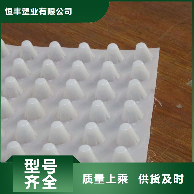 【排水板】,PP焊接土工格栅价格实惠同城品牌