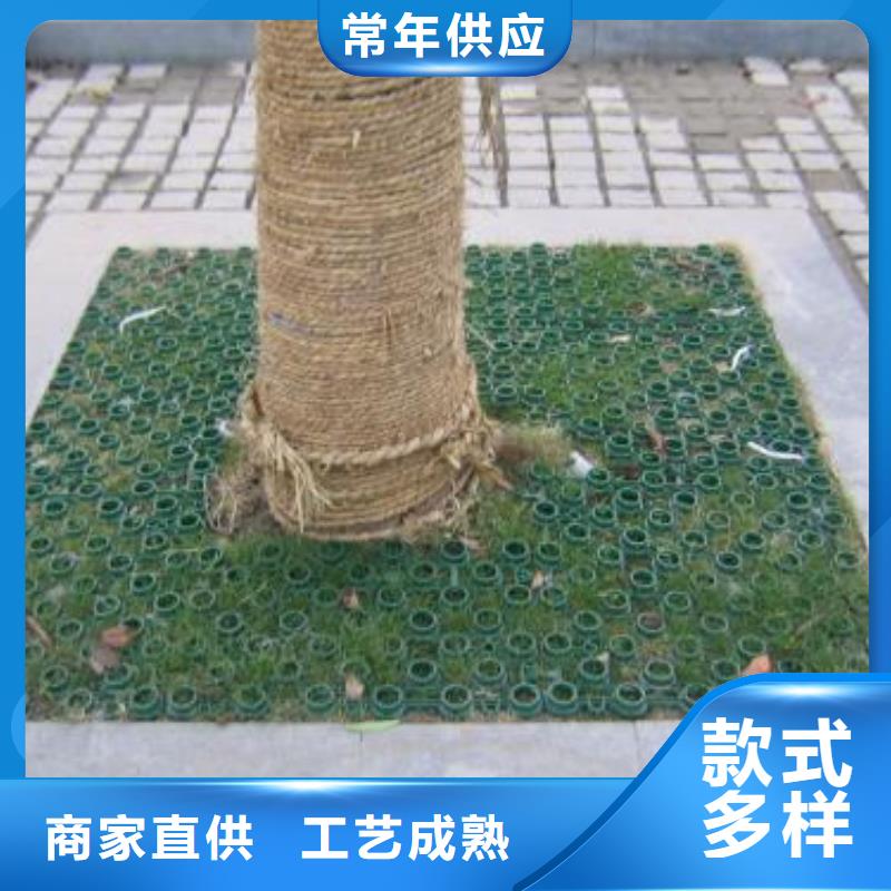 植草格双向塑料土工格栅现货供应