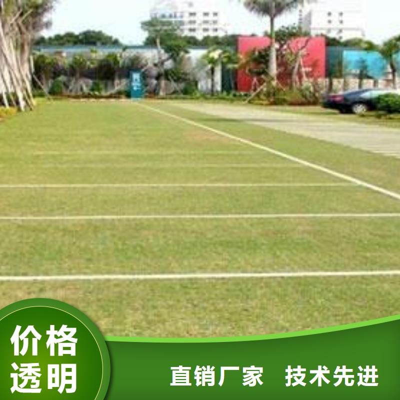 植草格双向塑料土工格栅现货供应