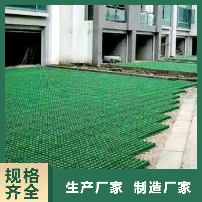 植草格毛细排水板实力派厂家