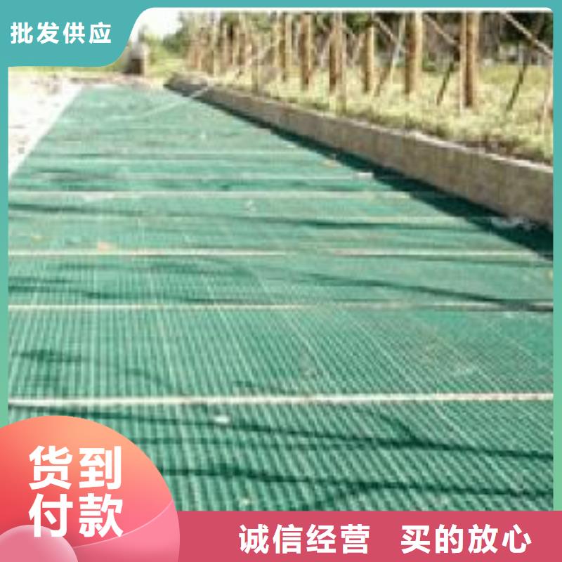 植草格-三维土工网垫服务周到
