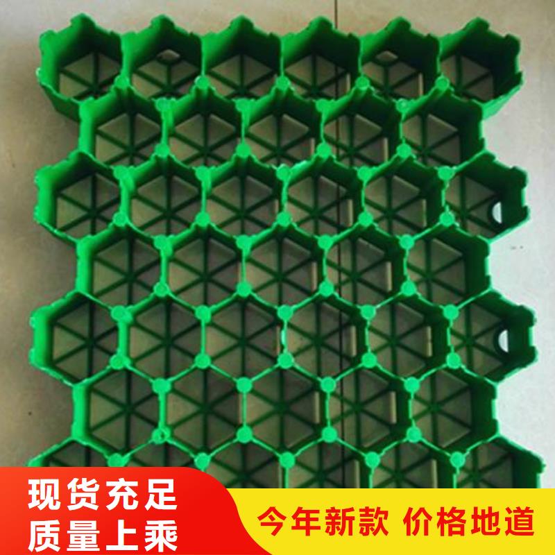 植草格双向塑料土工格栅现货供应