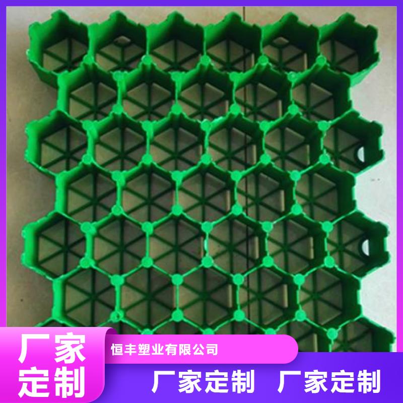 植草格毛細(xì)排水板實(shí)力派廠家
