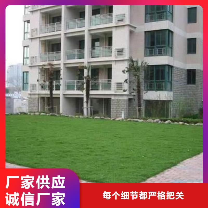 植草格-【HDPE土工膜】品质保障售后无忧|召陵|源汇|焦作|郑州|周口|濮阳|洛阳|平顶山制造商