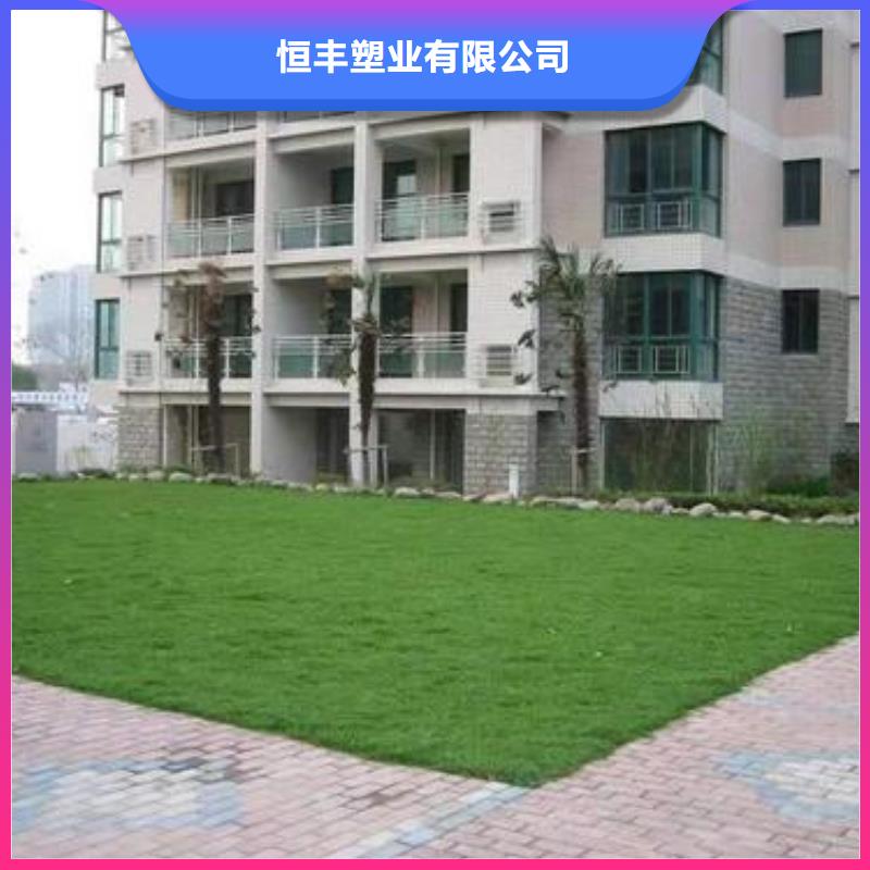 植草格_【復合土工膜】廠家質量過硬