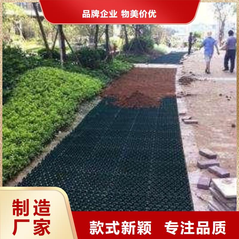 【植草格】双向塑料土工格栅质量不佳尽管来找我
