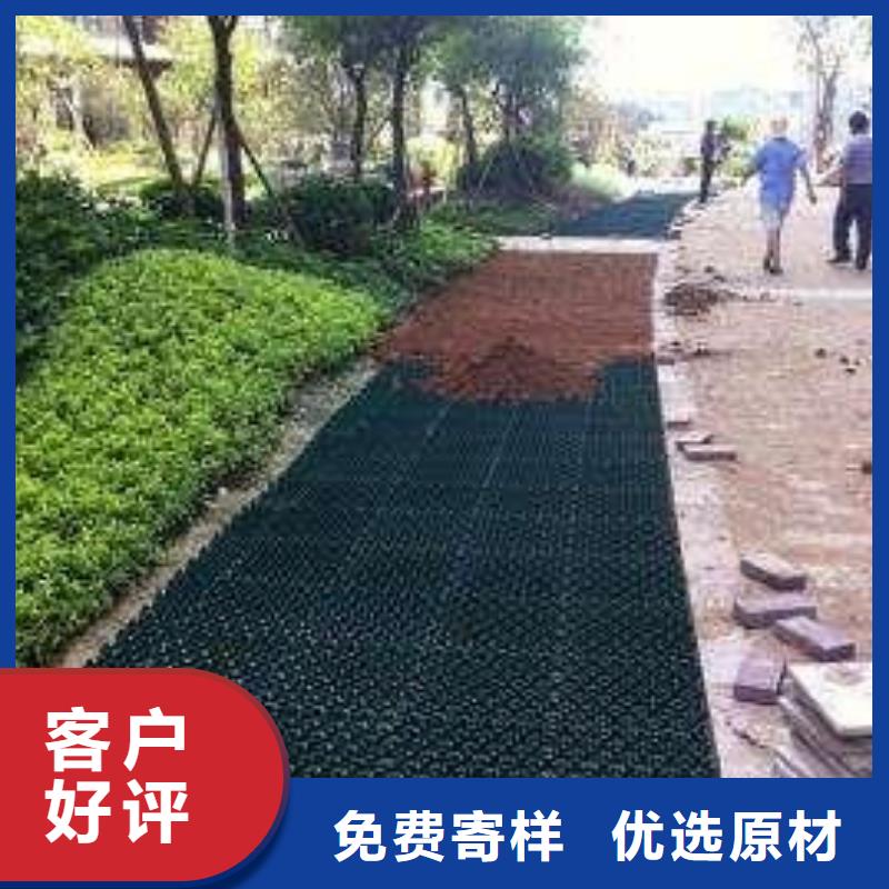植草格-【HDPE土工膜】品质保障售后无忧|召陵|源汇|焦作|郑州|周口|濮阳|洛阳|平顶山制造商