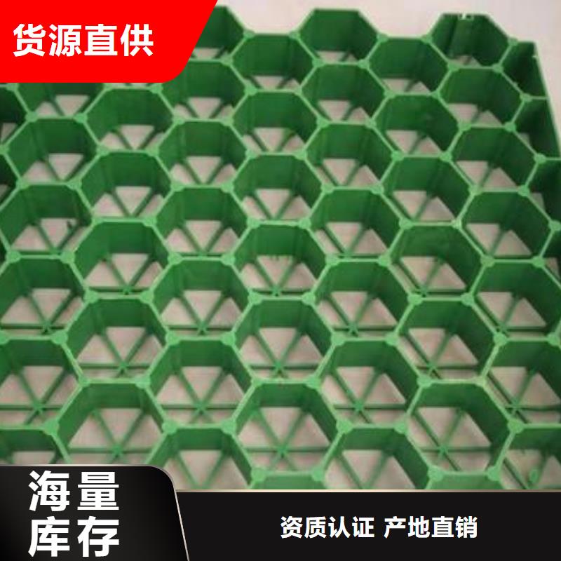 植草格-【HDPE土工膜】品质保障售后无忧|召陵|源汇|焦作|郑州|周口|濮阳|洛阳|平顶山制造商