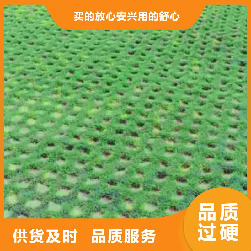 植草格_复合土工膜品牌企业