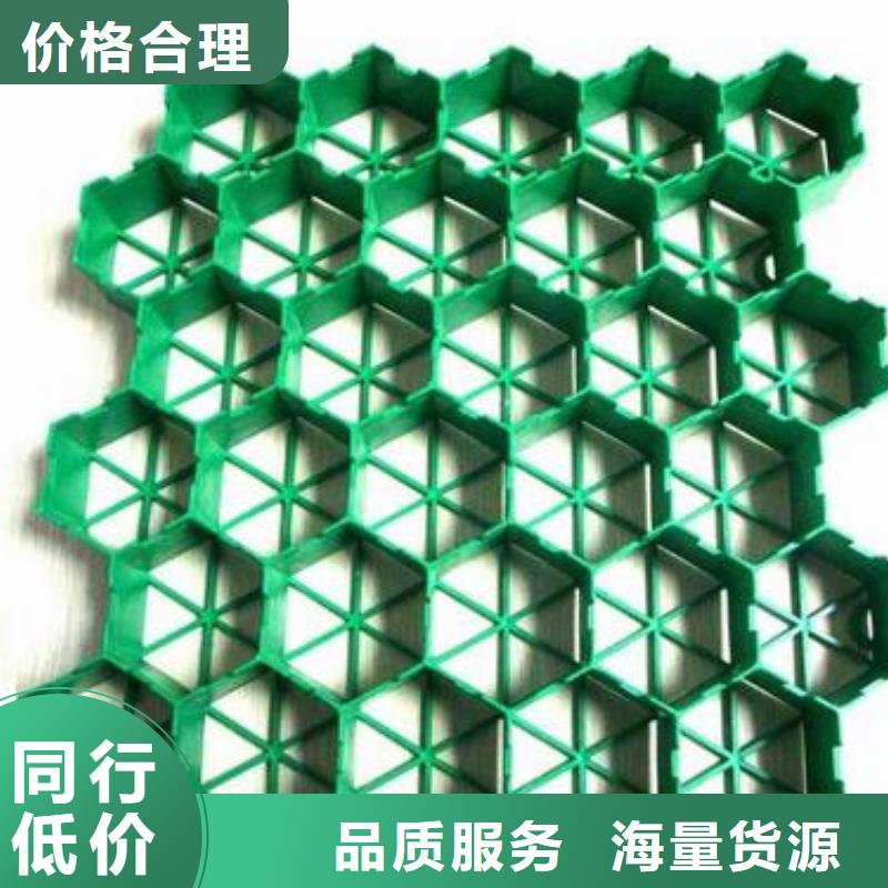 植草格双向塑料土工格栅现货供应