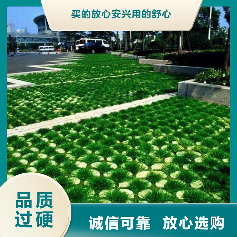 植草格双向塑料土工格栅现货供应