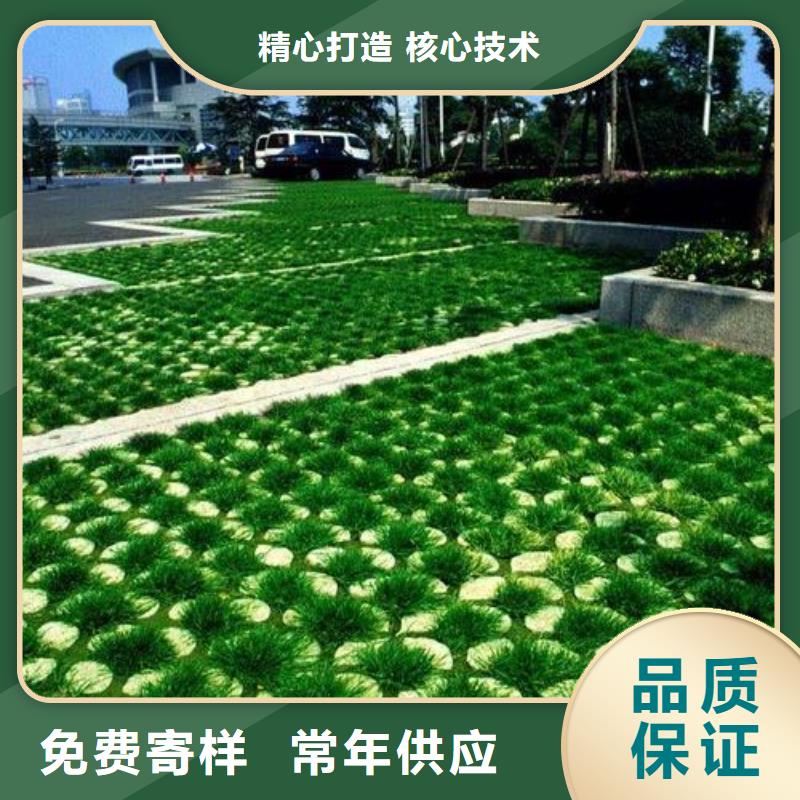 恒丰土工格室【植草格】 PP焊接土工格栅多家仓库发货qy55.com