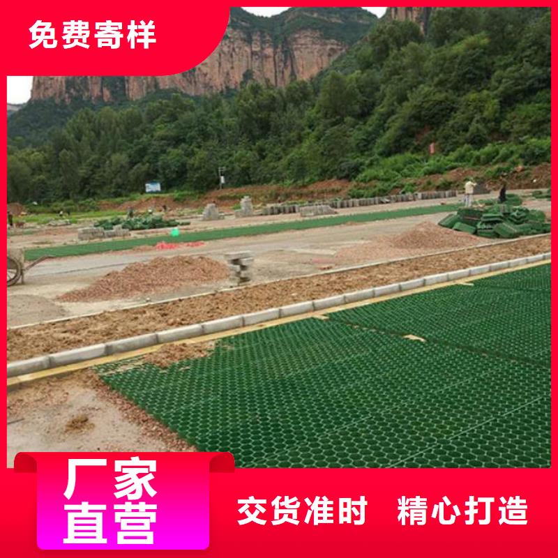 【植草格】 PP焊接土工格栅多家仓库发货_恒丰塑业(阿拉善市分公司)