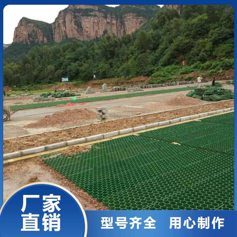 恒丰土工格室【植草格】 PP焊接土工格栅多家仓库发货qy55.com