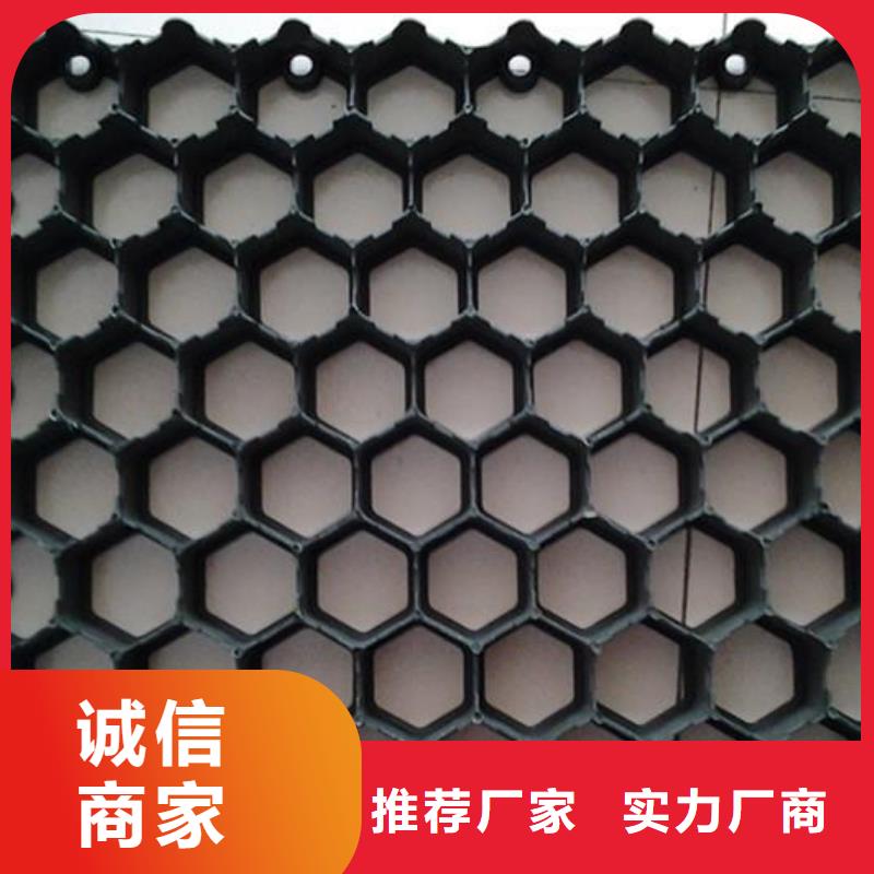 植草格-【HDPE土工膜】品质保障售后无忧|召陵|源汇|焦作|郑州|周口|濮阳|洛阳|平顶山制造商