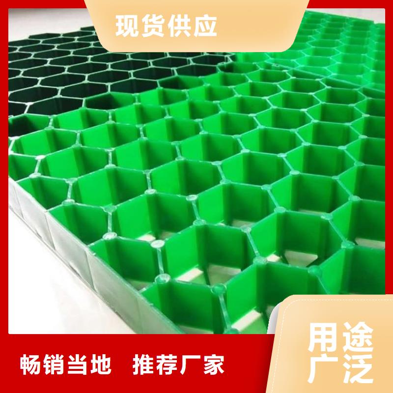 植草格-【HDPE土工膜】品质保障售后无忧|召陵|源汇|焦作|郑州|周口|濮阳|洛阳|平顶山制造商