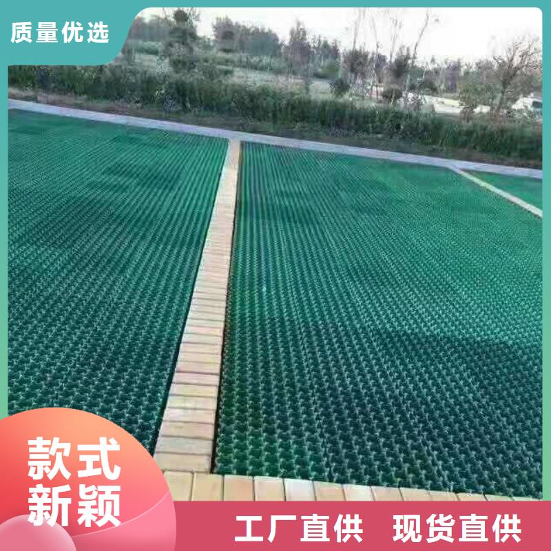鄂尔多斯|兴安|通辽|锡林郭勒【植草格】 PP焊接土工格栅多家仓库发货-恒丰