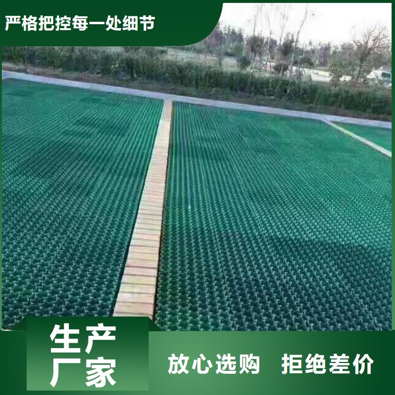 植草格双向塑料土工格栅现货供应