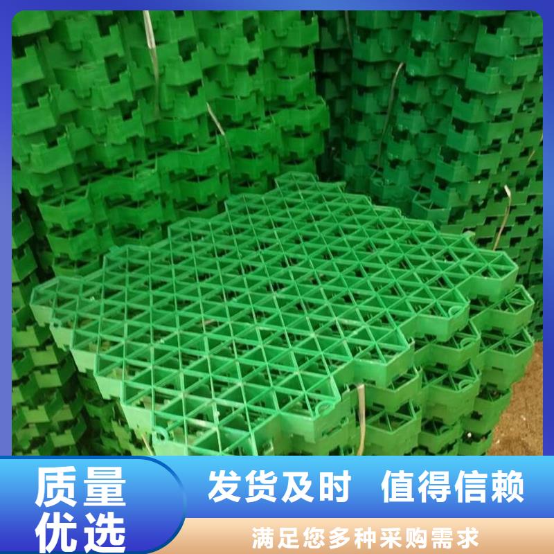 植草格,复合土工膜厂家实力大