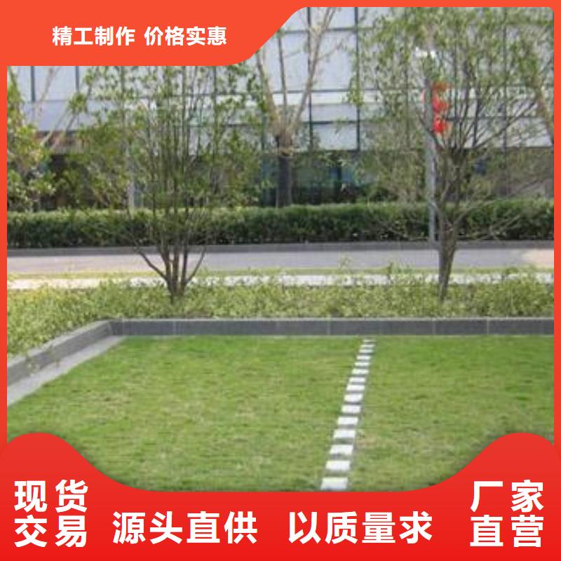 植草格毛细排水板实力派厂家