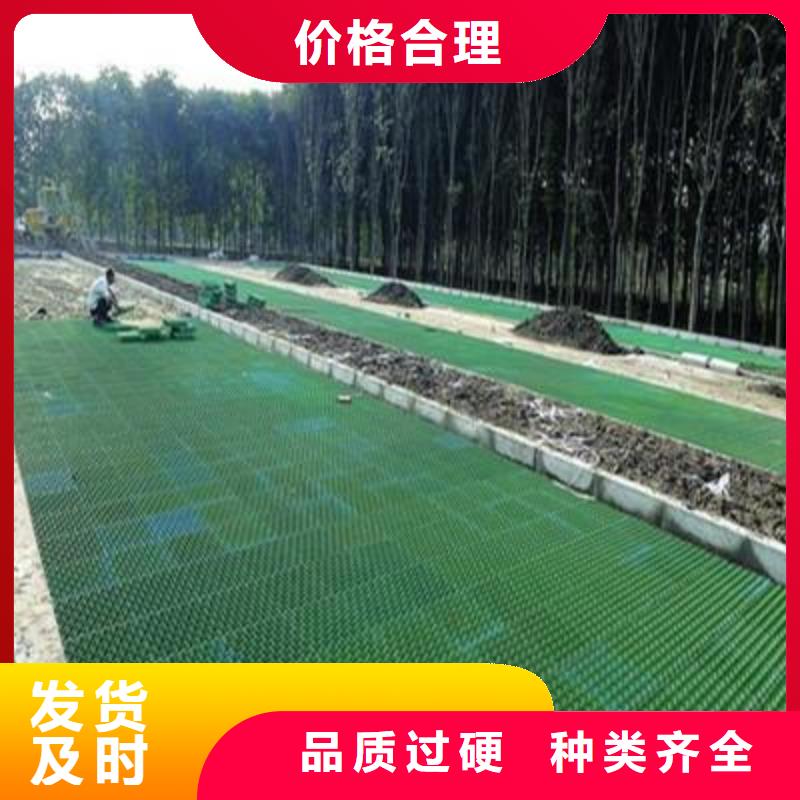 植草格单向塑料土工格栅厂家直营