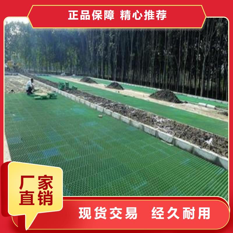 植草格双向塑料土工格栅现货供应