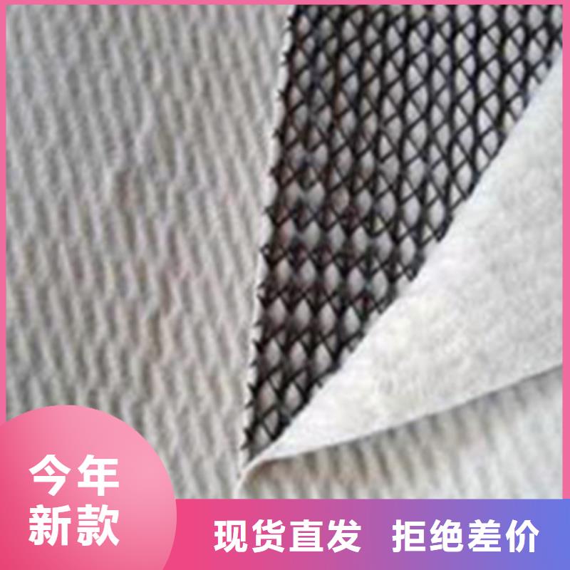 三维复合排水网低价格-厂家直销-货源充足】