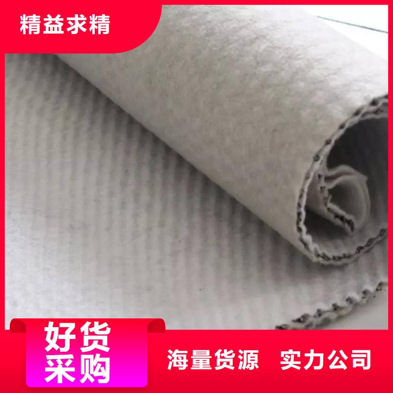 土工格室恒丰三维复合排水网 【三维植被网】当地货源